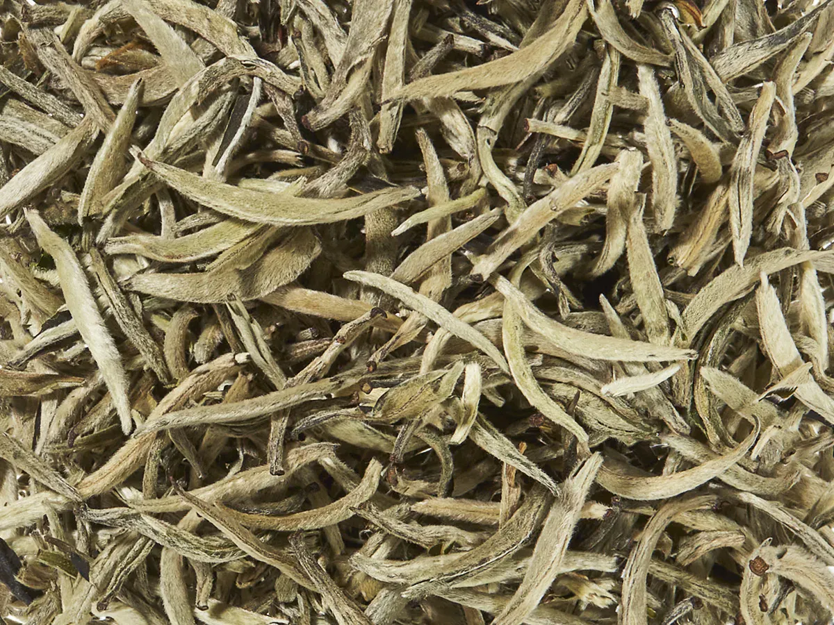 Hvit te Silver Needle Økologisk 300g