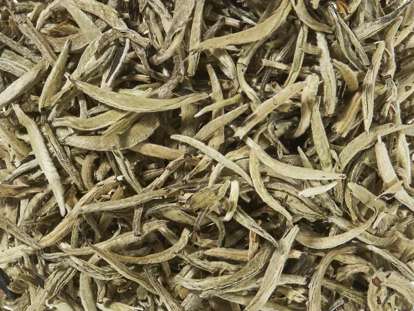 Hovedbilde Hvit te Silver Needle Økologisk 300g