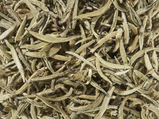 Hovedbilde Hvit te Silver Needle Økologisk 300g